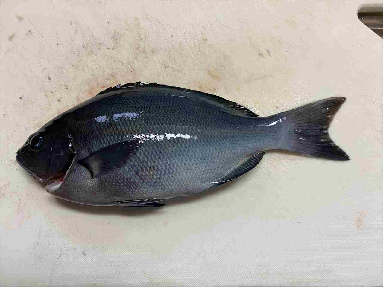 �މʂP